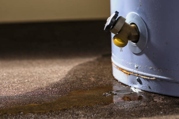 Best 24-hour water damage restoration  in USA